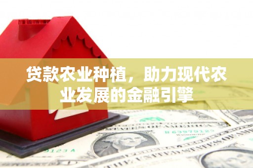 黄平贷款农业种植，助力现代农业发展的金融引擎