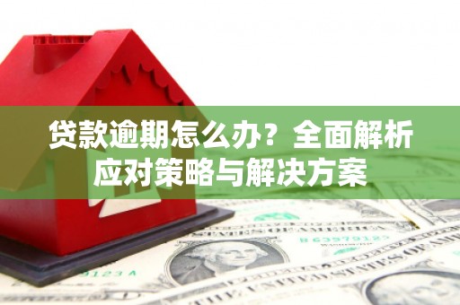 黄平贷款逾期怎么办？全面解析应对策略与解决方案