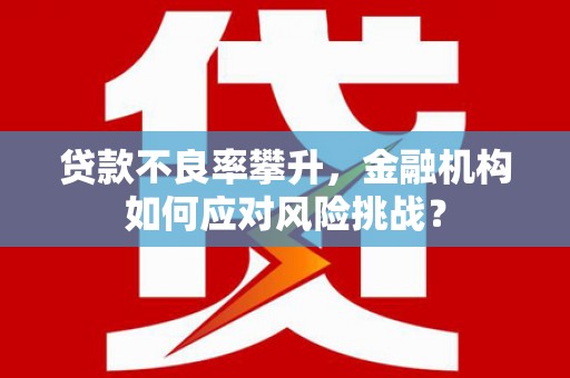 黄平贷款不良率攀升，金融机构如何应对风险挑战？