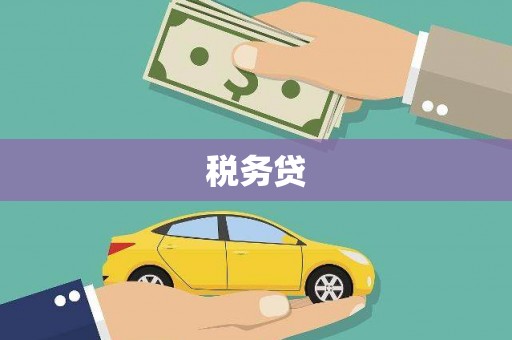 黄平税务贷