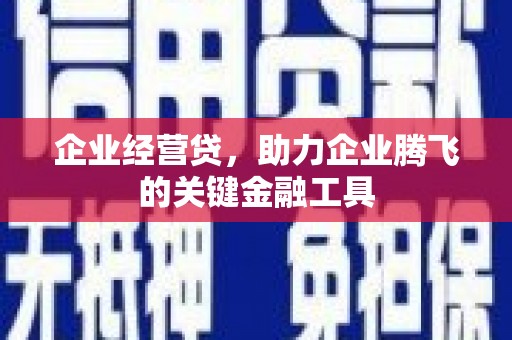 黄平企业经营贷，助力企业腾飞的关键金融工具