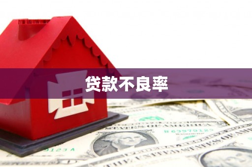 黄平贷款不良率