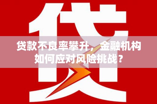 黄平贷款不良率攀升，金融机构如何应对风险挑战？
