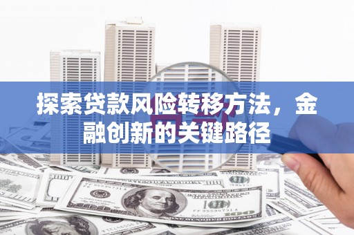 黄平探索贷款风险转移方法，金融创新的关键路径