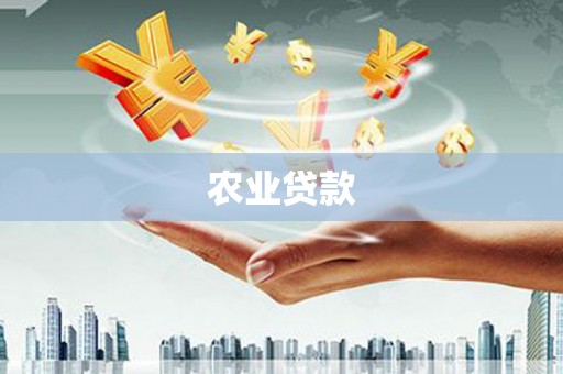 黄平农业贷款