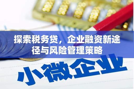 黄平探索税务贷，企业融资新途径与风险管理策略