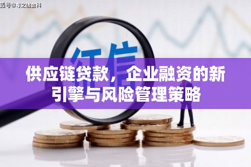 黄平供应链贷款，企业融资的新引擎与风险管理策略