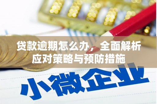 黄平贷款逾期怎么办，全面解析应对策略与预防措施