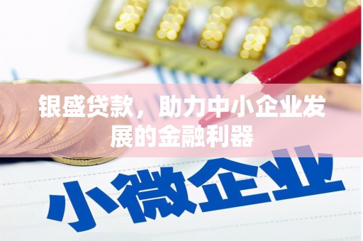 黄平银盛贷款，助力中小企业发展的金融利器