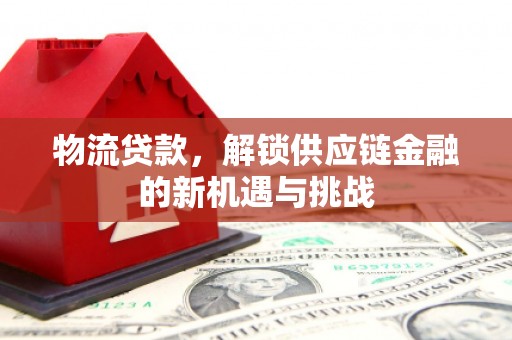 黄平物流贷款，解锁供应链金融的新机遇与挑战