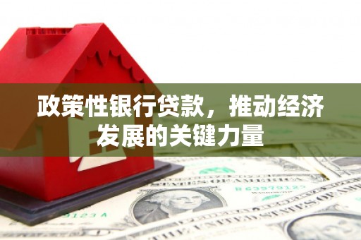 黄平政策性银行贷款，推动经济发展的关键力量