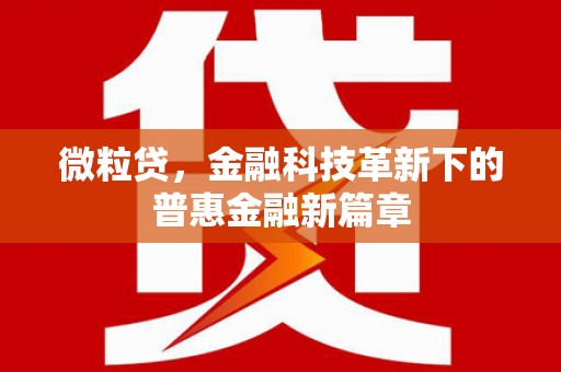 黄平微粒贷，金融科技革新下的普惠金融新篇章