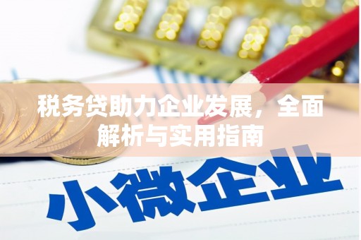 黄平税务贷助力企业发展，全面解析与实用指南