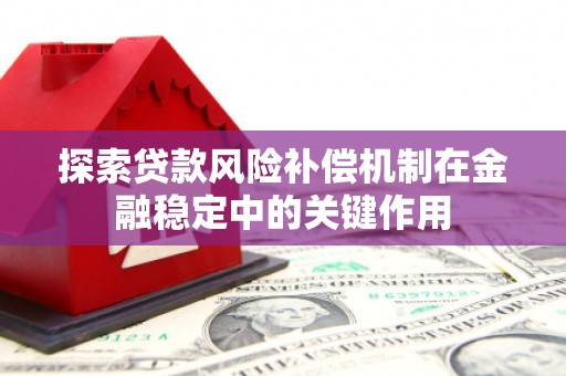 黄平探索贷款风险补偿机制在金融稳定中的关键作用