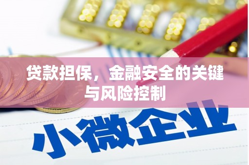 黄平贷款担保，金融安全的关键与风险控制