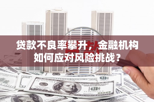 黄平贷款不良率攀升，金融机构如何应对风险挑战？