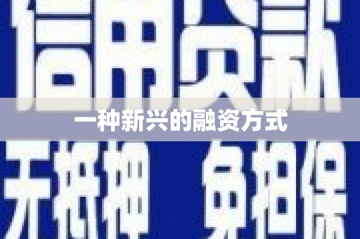 黄平一种新兴的融资方式