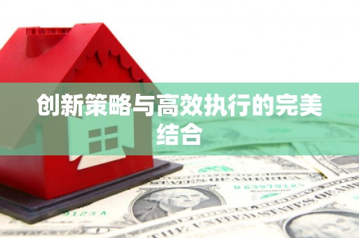 黄平创新策略与高效执行的完美结合