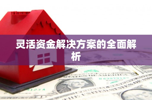 黄平灵活资金解决方案的全面解析