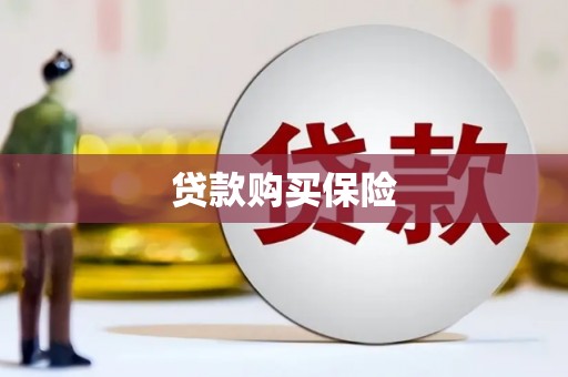 黄平贷款购买保险