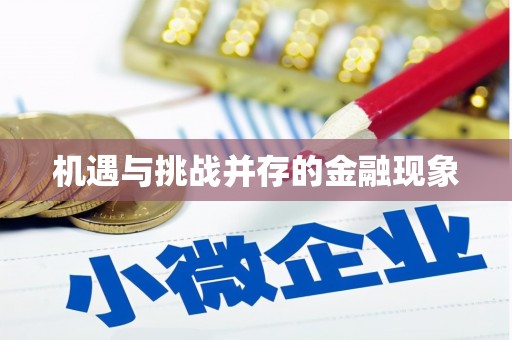 黄平机遇与挑战并存的金融现象