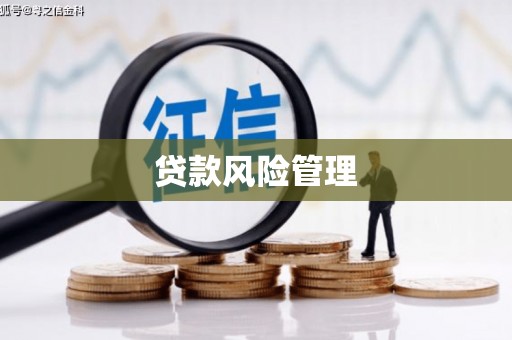 黄平贷款风险管理