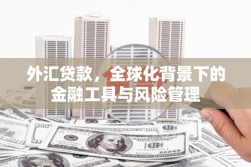 黄平外汇贷款，全球化背景下的金融工具与风险管理