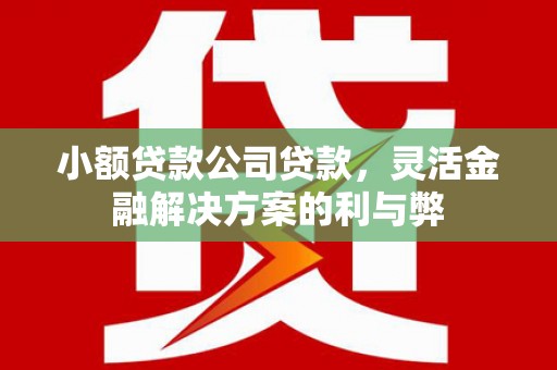 黄平小额贷款公司贷款，灵活金融解决方案的利与弊