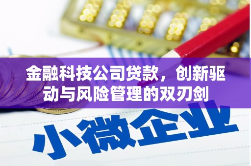 黄平金融科技公司贷款，创新驱动与风险管理的双刃剑