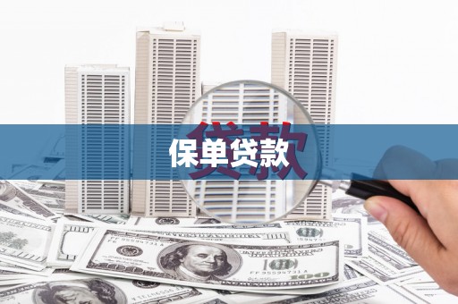 黄平保单贷款